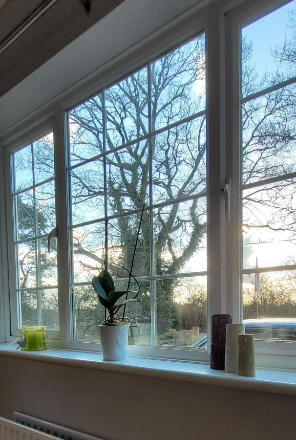 Bed and Breakfast Ha'Penny Acre Sherfield English Esterno foto